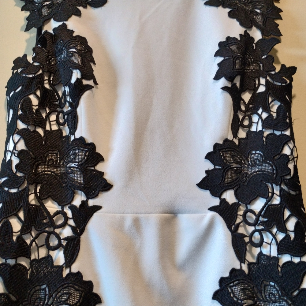 NWOT / BETSEY JOHNSON shell midi dress with lace appliques - Picture 6 of 11